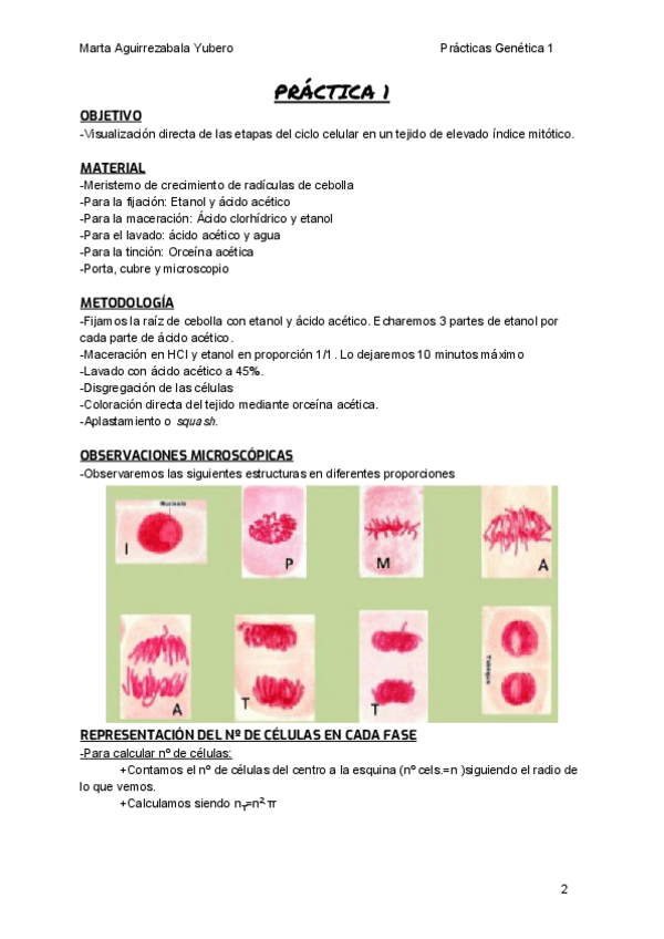 Miniatura del documento P1.pdf