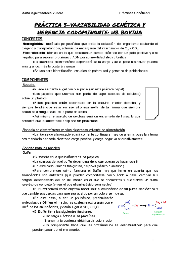 Miniatura del documento P3.pdf