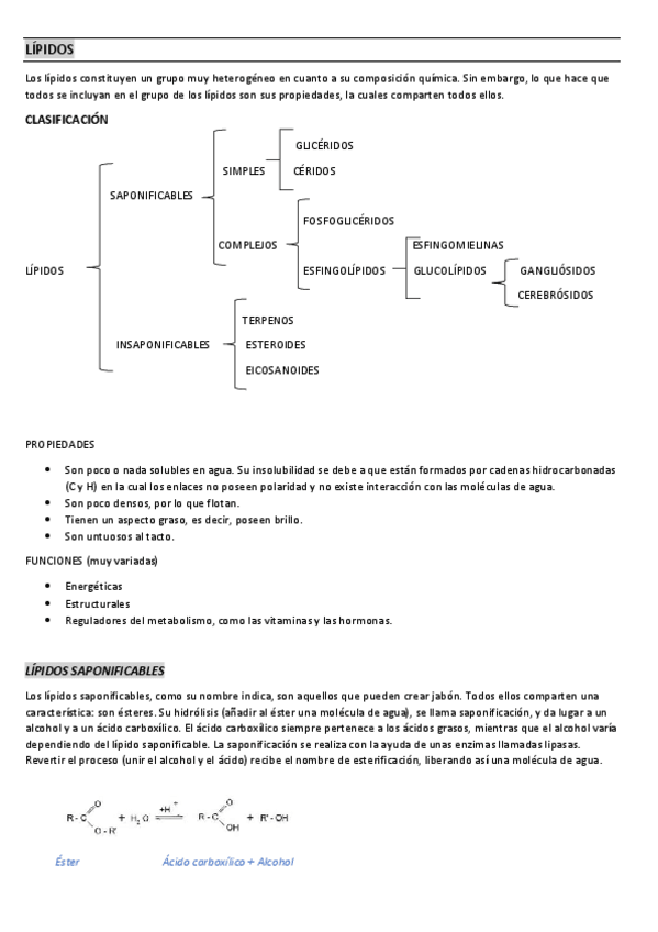 Miniatura del documento TEMA-3-biologia.pdf