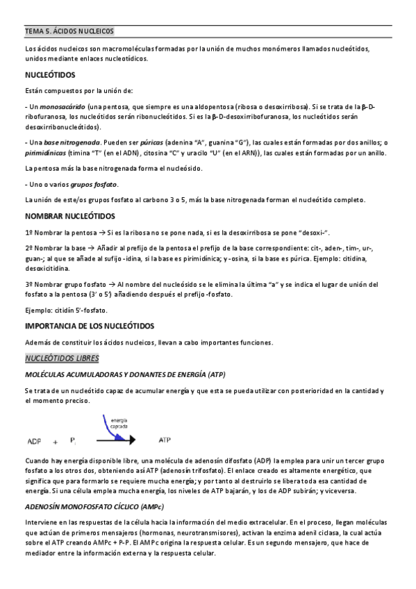 Miniatura del documento TEMA-5.pdf
