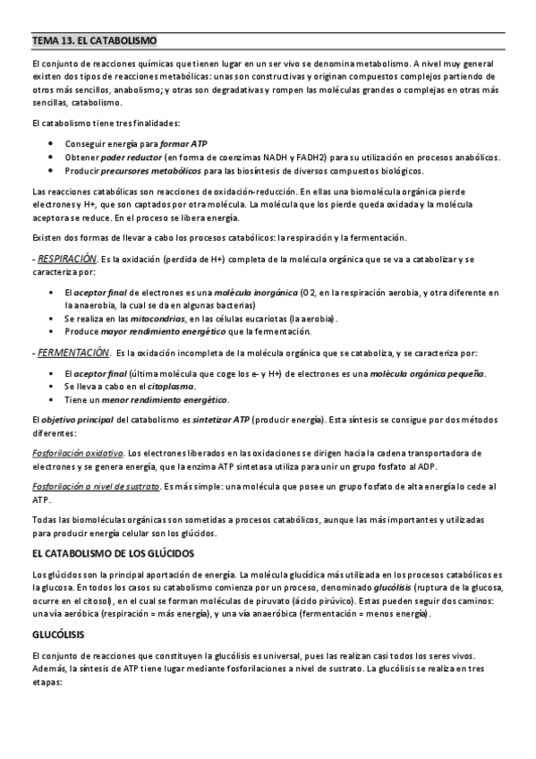 Miniatura del documento TEMA-13.pdf