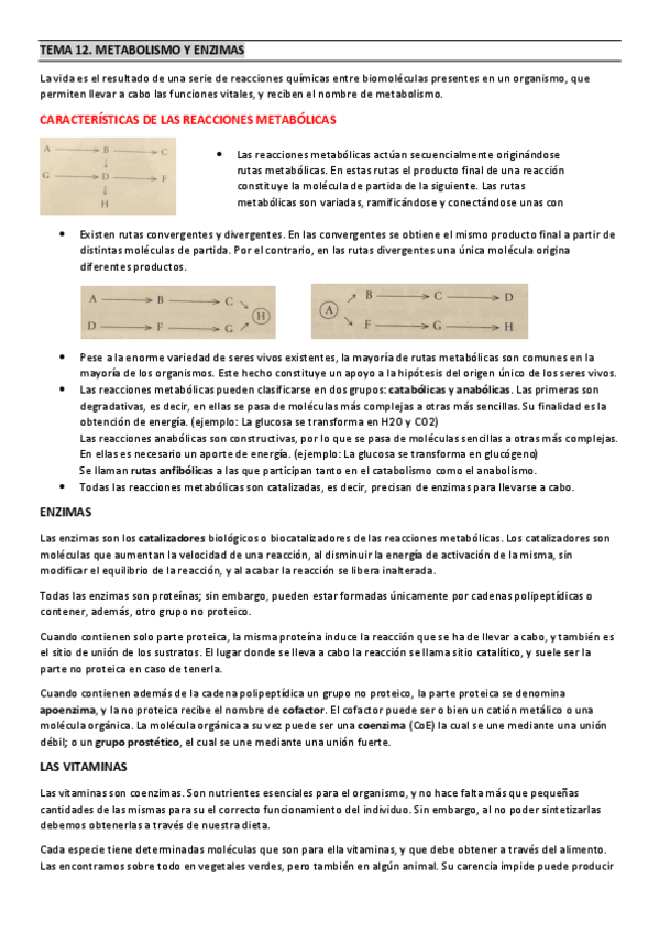 Miniatura del documento TEMA-12.pdf