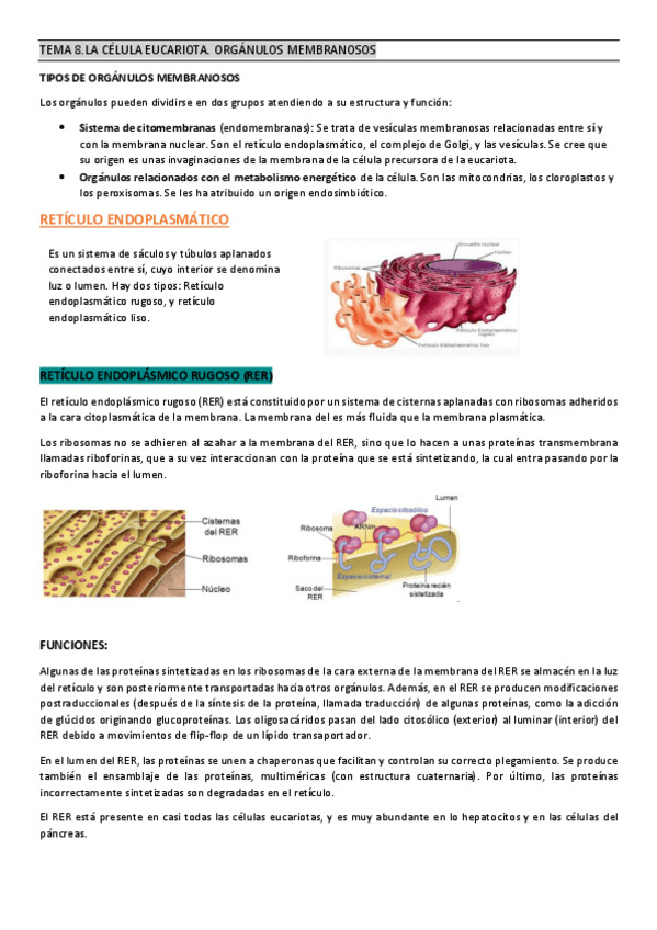 Miniatura del documento TEMA-8-biologia.pdf