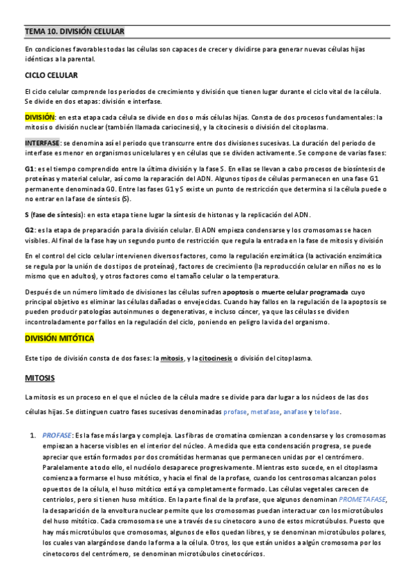 Miniatura del documento TEMA-10.pdf