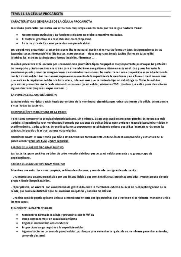 Miniatura del documento TEMA-11.pdf