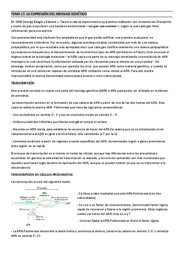 Miniatura del documento TEMA-17.pdf