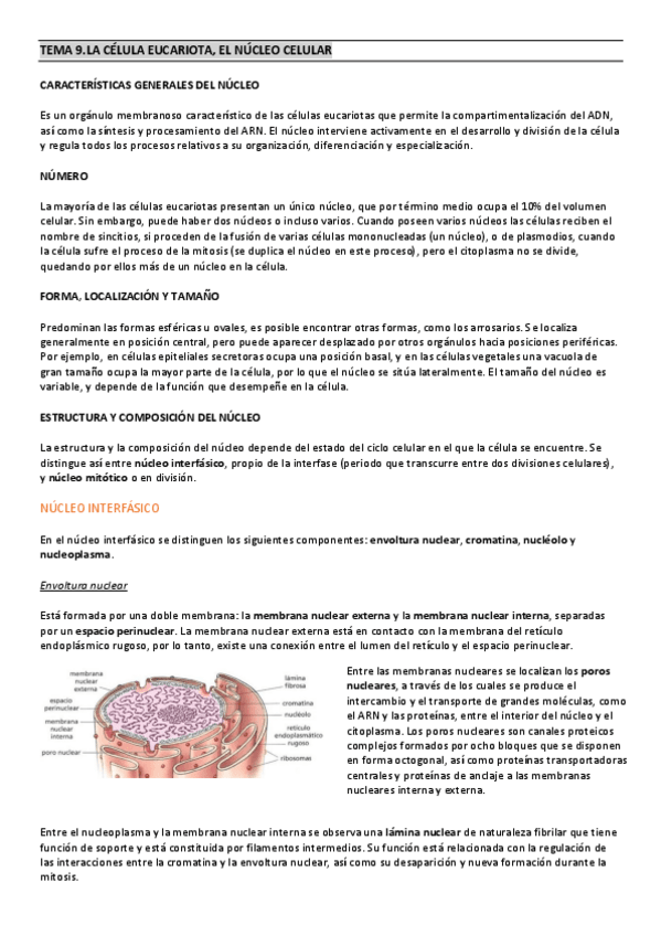 Miniatura del documento TEMA-9biologia.pdf