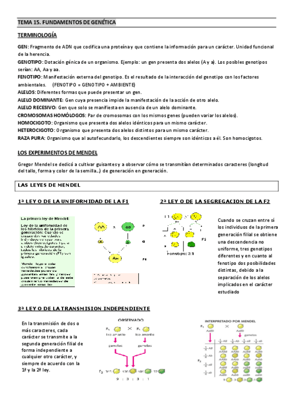 Miniatura del documento TEMA-15.pdf