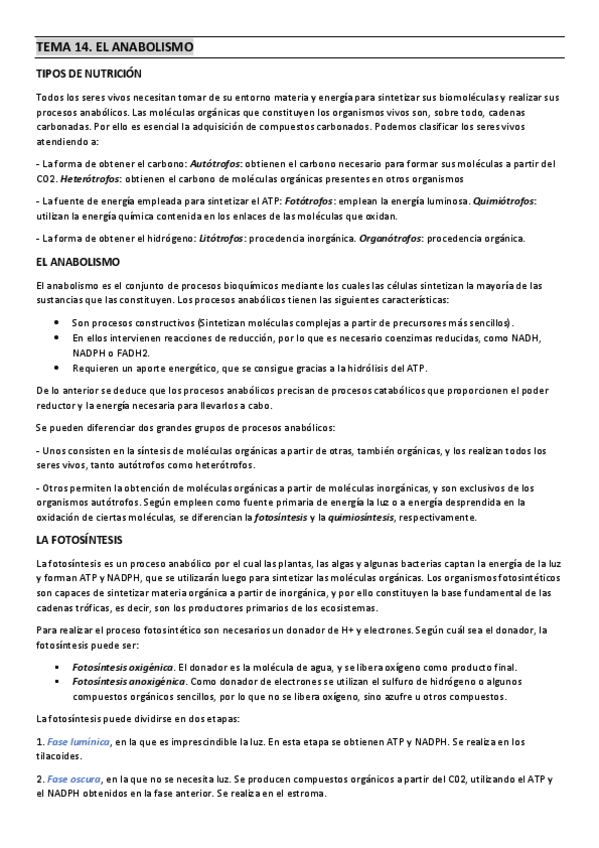 Miniatura del documento TEMA-14.pdf