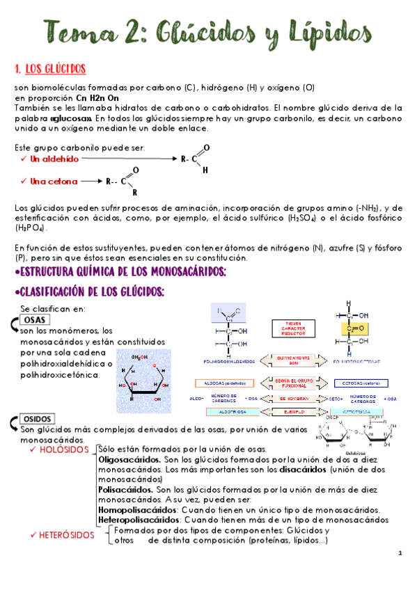 Miniatura del documento tema-2-gucidos-y-lipidos.pdf