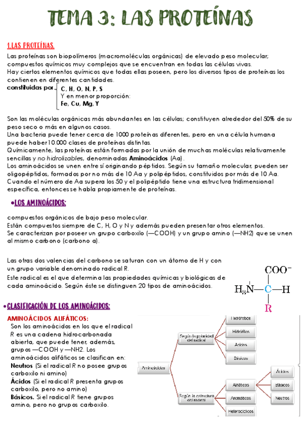 Miniatura del documento TEMA-3-PROTEINAS.pdf