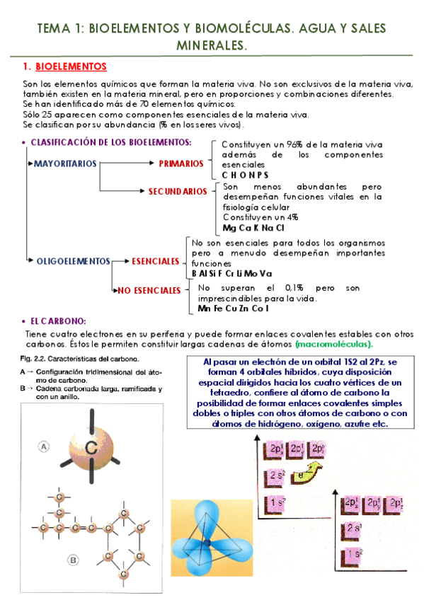 Miniatura del documento tema-1-BIOELEMENTOS-Y-BIOMOLECULASAGUA-Y-SALES-MINERALES.pdf