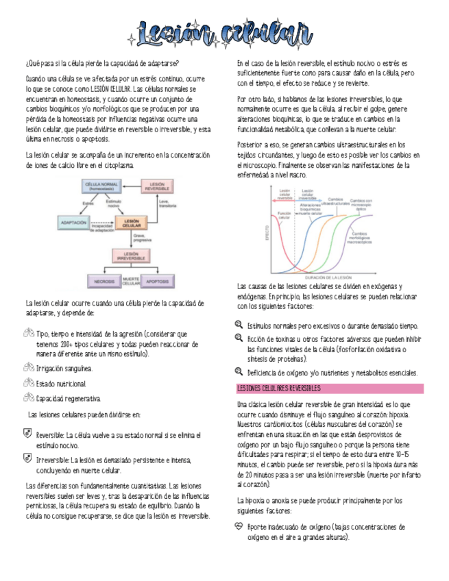 Miniatura del documento LESION-CELULAR.pdf