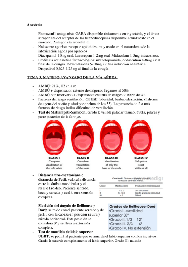 Miniatura del documento RESUMEN-ANESTESIA.pdf