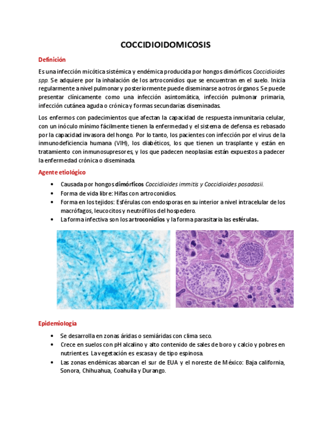Miniatura del documento Coccidioidomicosis.pdf