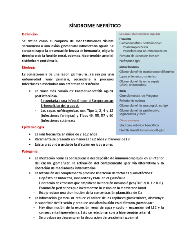 Miniatura del documento Sindrome-nefritico.pdf