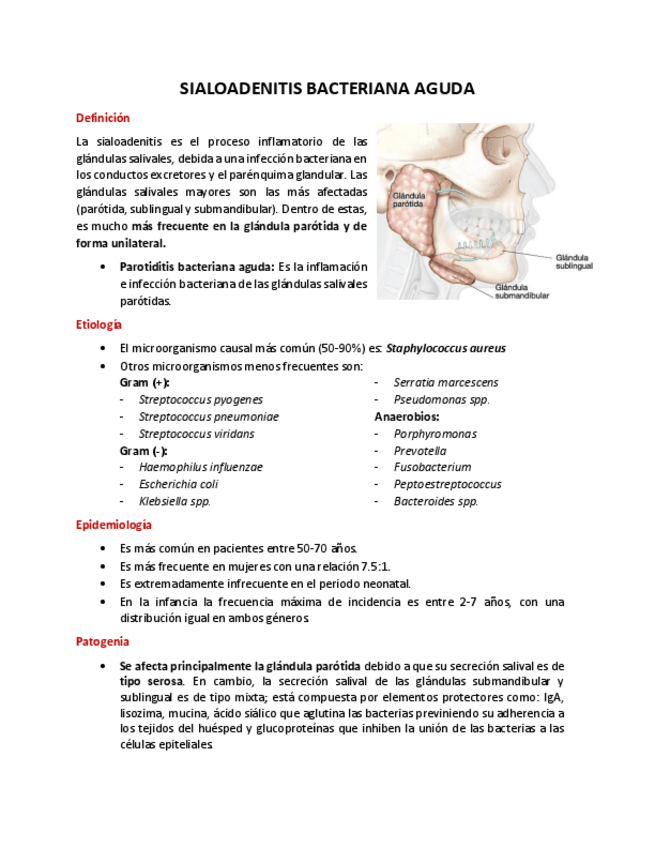 Miniatura del documento Sialoadenitis-bacteriana.pdf