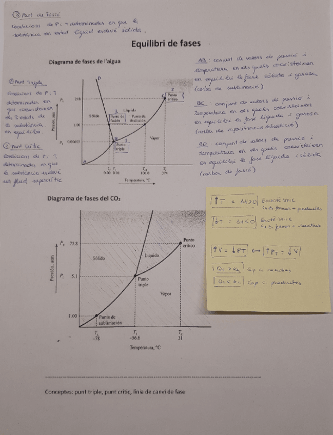 Miniatura del documento Diagrama-i-Equilibri-de-Fases.pdf