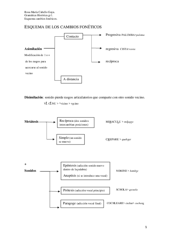 Miniatura del documento Esquema-de-los-cambios-foneticos.pdf