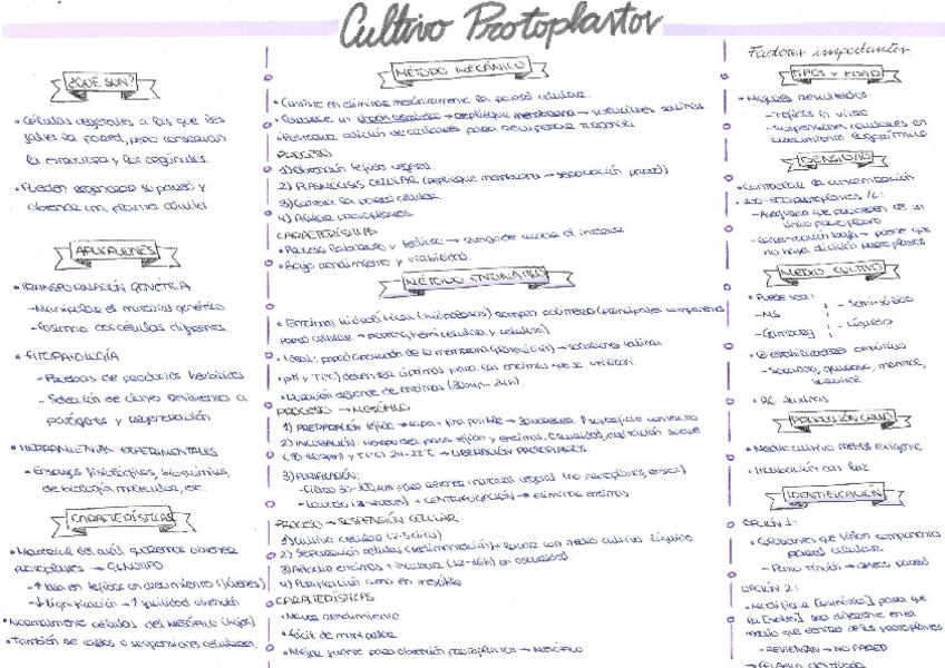 Miniatura del documento 18-Cultivo-protoplastos.pdf