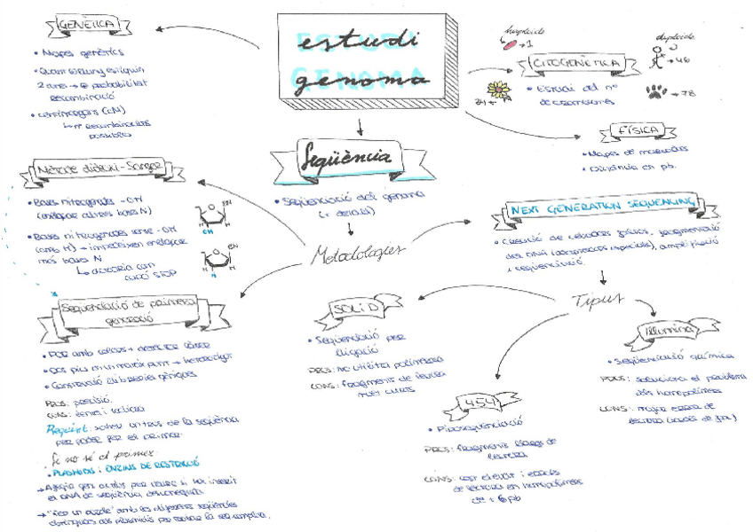 Miniatura del documento 3-Estudi-genoma.pdf