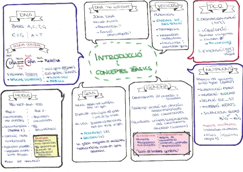 Miniatura del documento 1-Introduccio-i-conceptes-basics.pdf