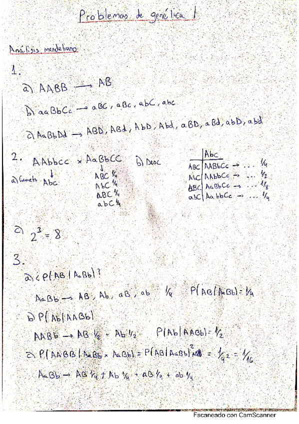 Miniatura del documento ejercicios-resueltos-analisis-mendeliano1-31.pdf