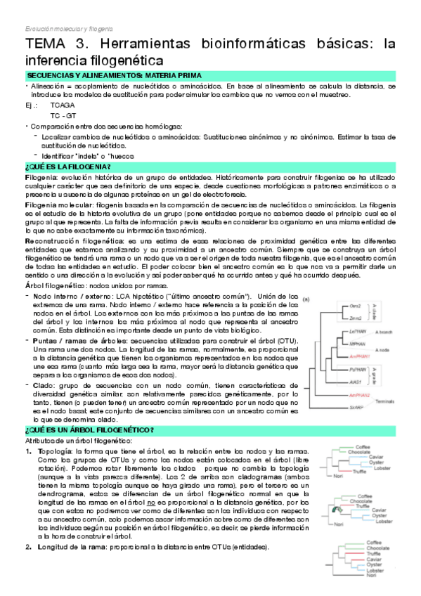 Miniatura del documento TEMA-3.pdf
