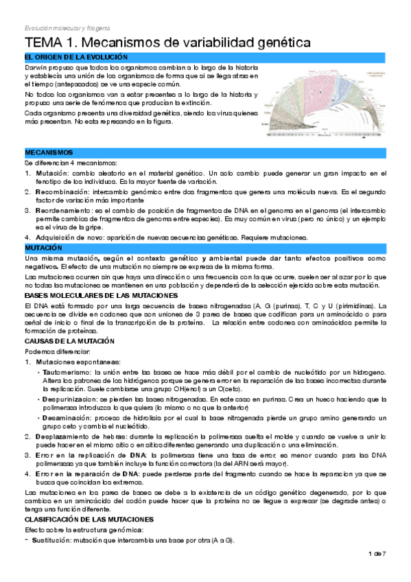 Miniatura del documento TEMA-1.pdf