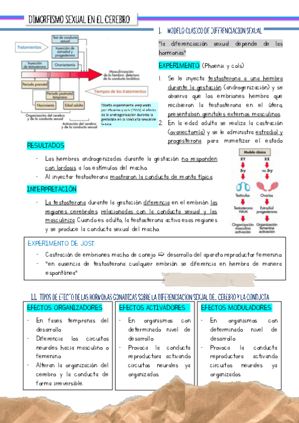 Miniatura del documento tema-1-parte-2-diapos-39-80.pdf