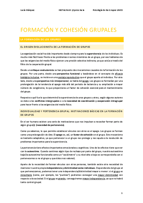 Miniatura del documento tema-2-formacion-y-cohesion-grupales.pdf