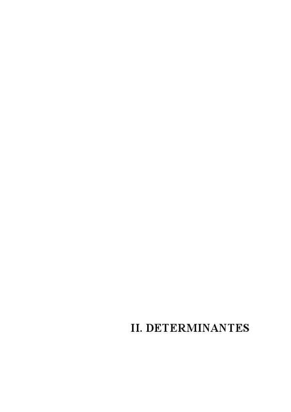 Miniatura del documento ALG_02_determinantes1_teoria.pdf