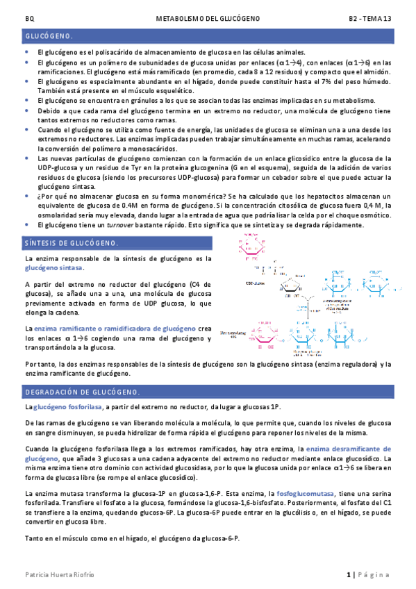 Miniatura del documento T13.pdf