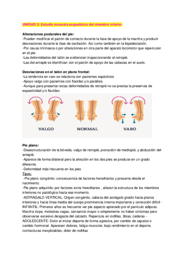 Miniatura del documento Tema-3.docx