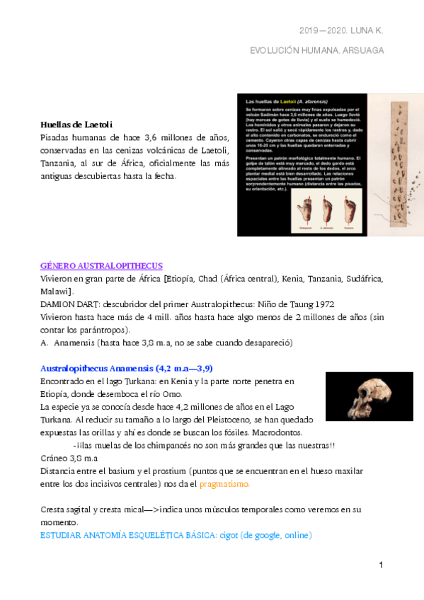 Miniatura del documento SEGUNDA-PARTE-EVOLUCION.pdf
