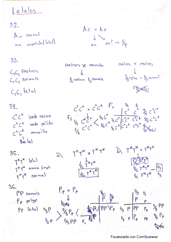 Miniatura del documento ejercicios-letalidad.pdf