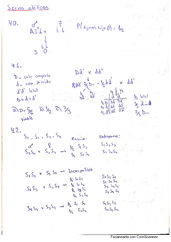 Miniatura del documento Ejercicios-series-alelicas.pdf