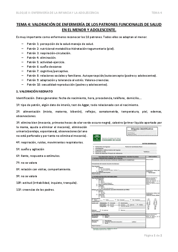 Miniatura del documento TEMA-4-VALORACION-DE-ENFERMERIA-DE-LOS-PATRONES-FUNCIONALES-DE-SALUD-EN-EL-MENOR-Y-ADOLESCENTE.pdf