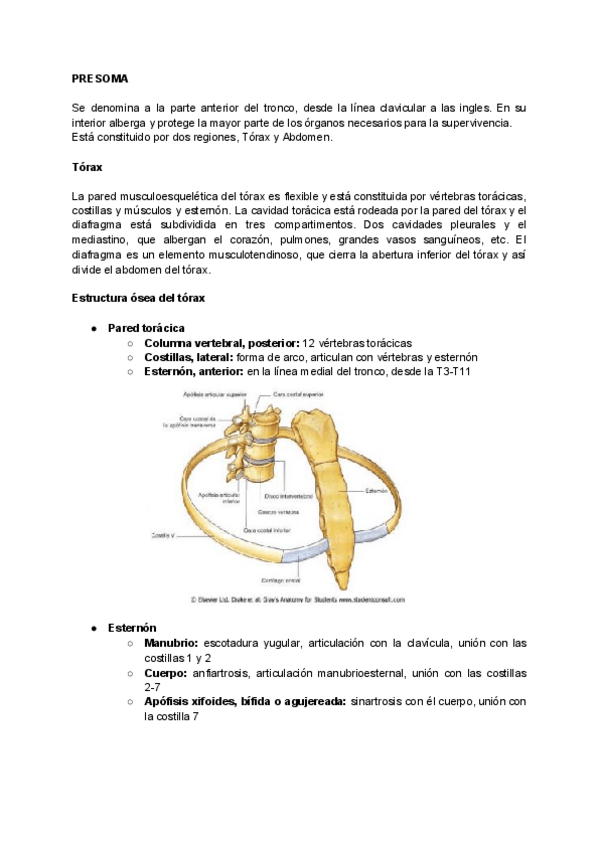 Miniatura del documento PRESOMA-Y-TORAX.pdf