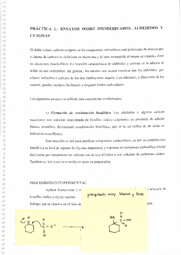 Miniatura del documento GUIA-DE-PRACTICAS-RESUELTA.pdf