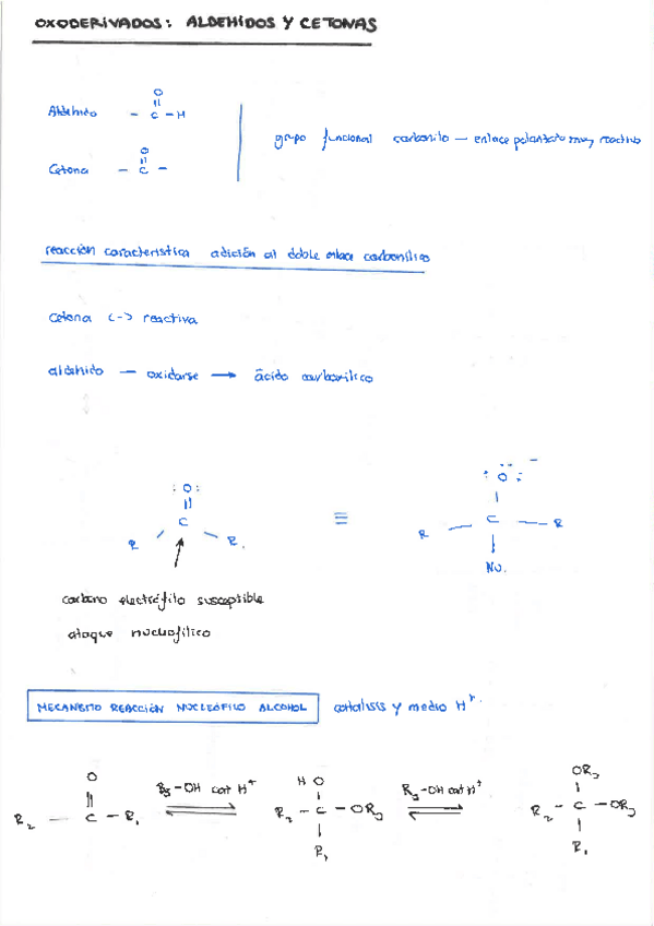 Miniatura del documento TEORIA-PRACTICAS.pdf