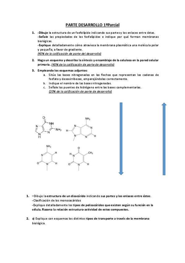 Miniatura del documento Desarrollo-Bio-general-1.pdf