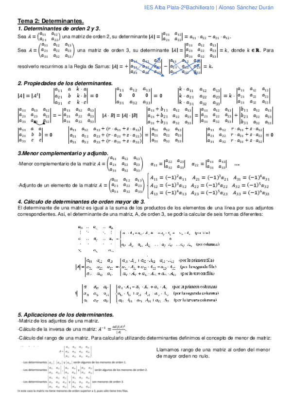 Miniatura del documento Tema-2-Determinantes.pdf