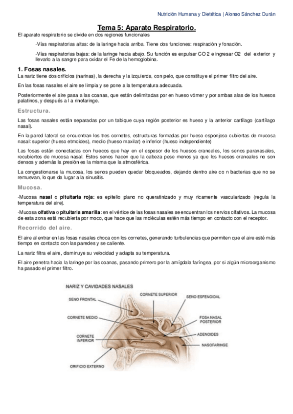 Miniatura del documento Tema-5-El-aparato-respiratorio.pdf