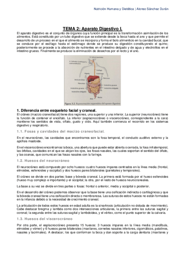Miniatura del documento Tema-2-El-Sistema-Digestivo-I.pdf