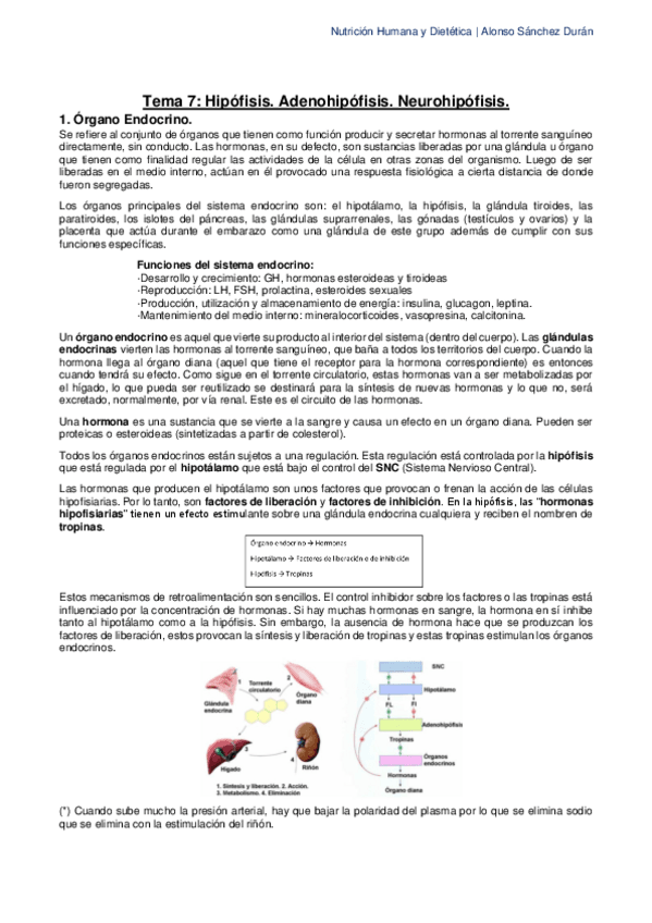 Miniatura del documento Tema-7-Hipofisis.pdf