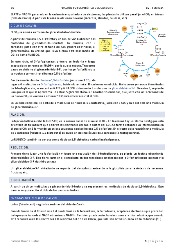 Miniatura del documento T14.pdf