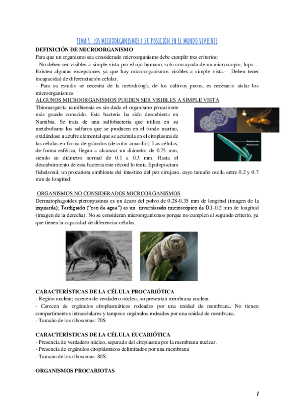 Miniatura del documento Primer-parcial-Microbiologia.pdf