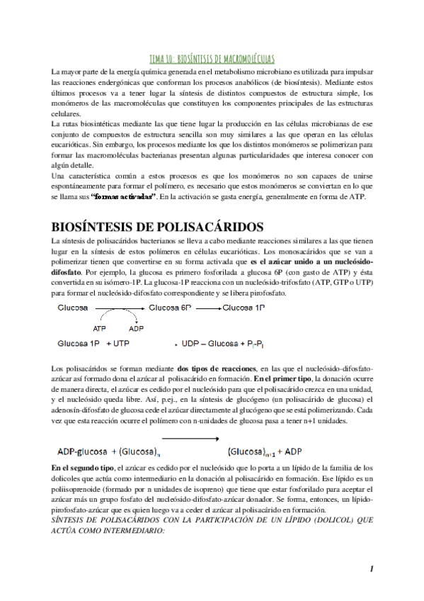 Miniatura del documento Segundo-parcial-microbiologia.pdf