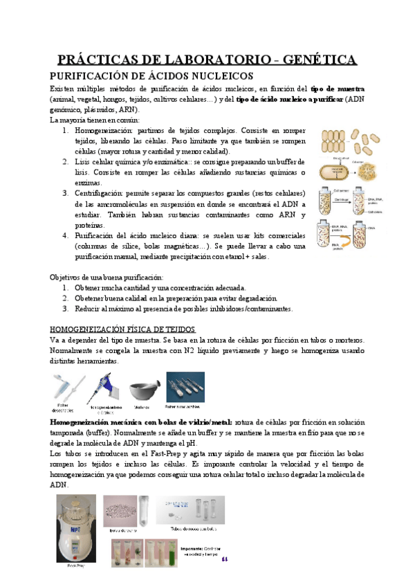 Miniatura del documento Practicas-genetica.pdf